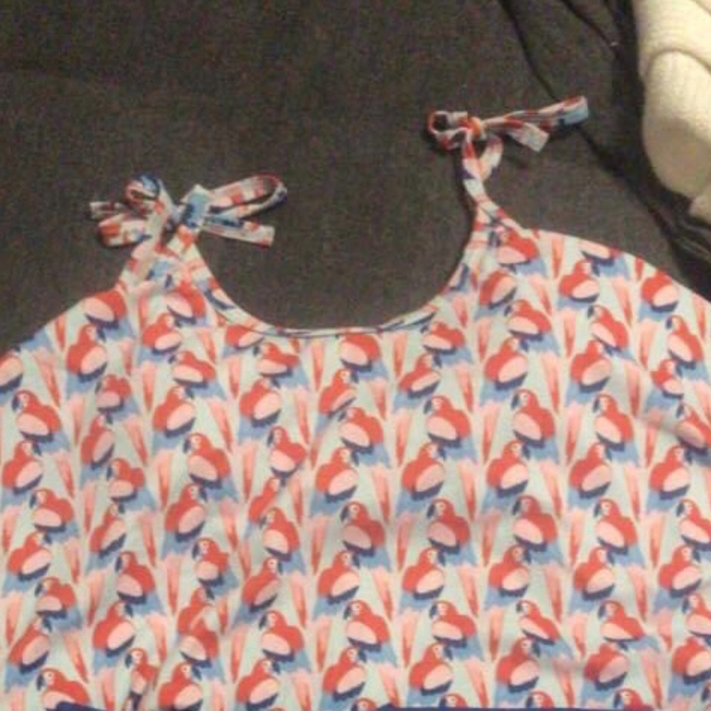 Xs parrots swing